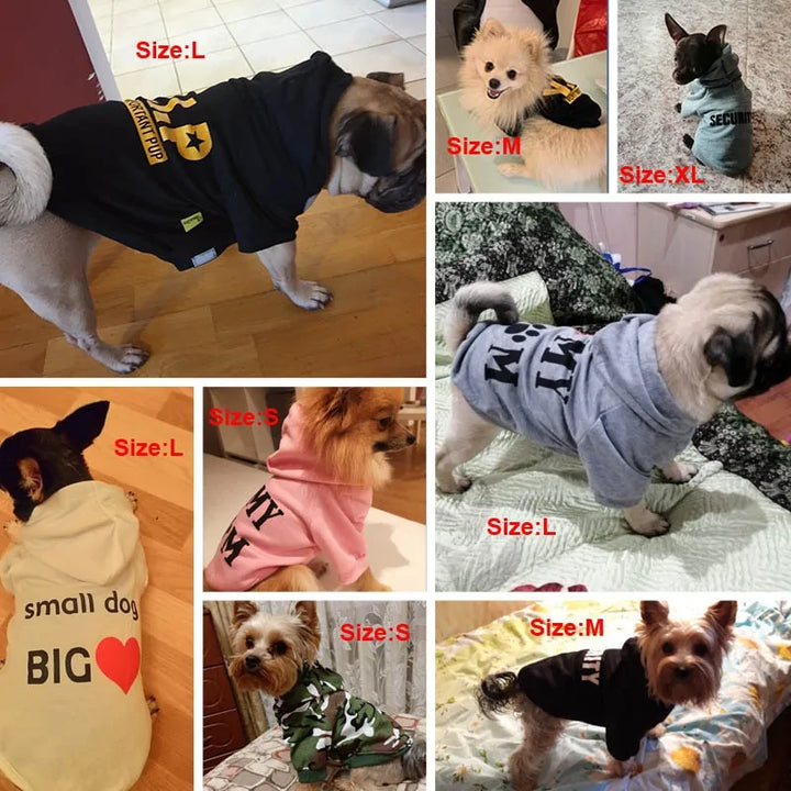 Small Dog Hoodie Coat